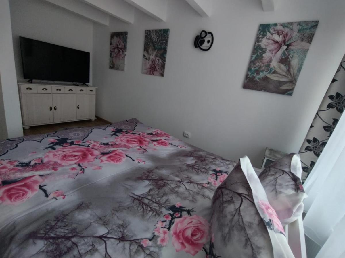 Apartament Alyosha Sighişoara Esterno foto